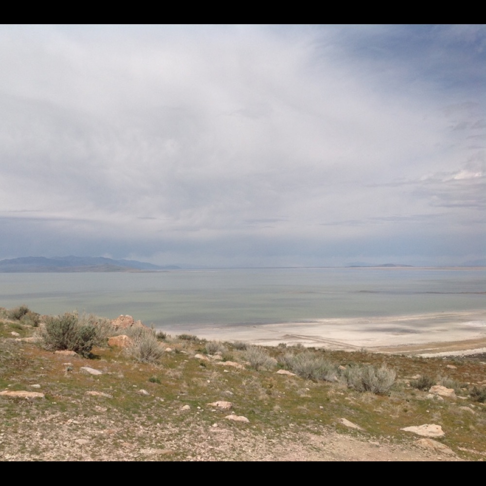 Meet your Posher, Douglas